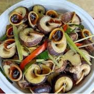 oc-tay-ninh-dac-san-doc-dao-mang-huong-vi-nui-rung